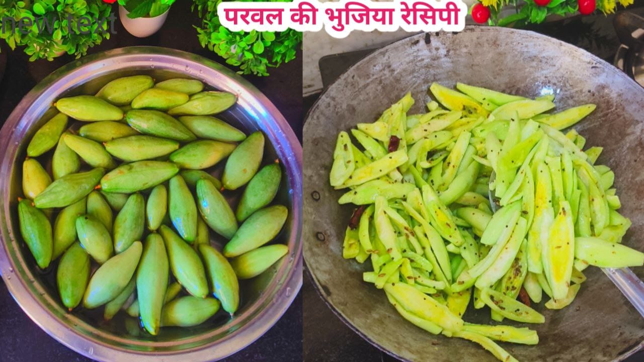 Whatsapp image 2025 09 12 at 15.40.23